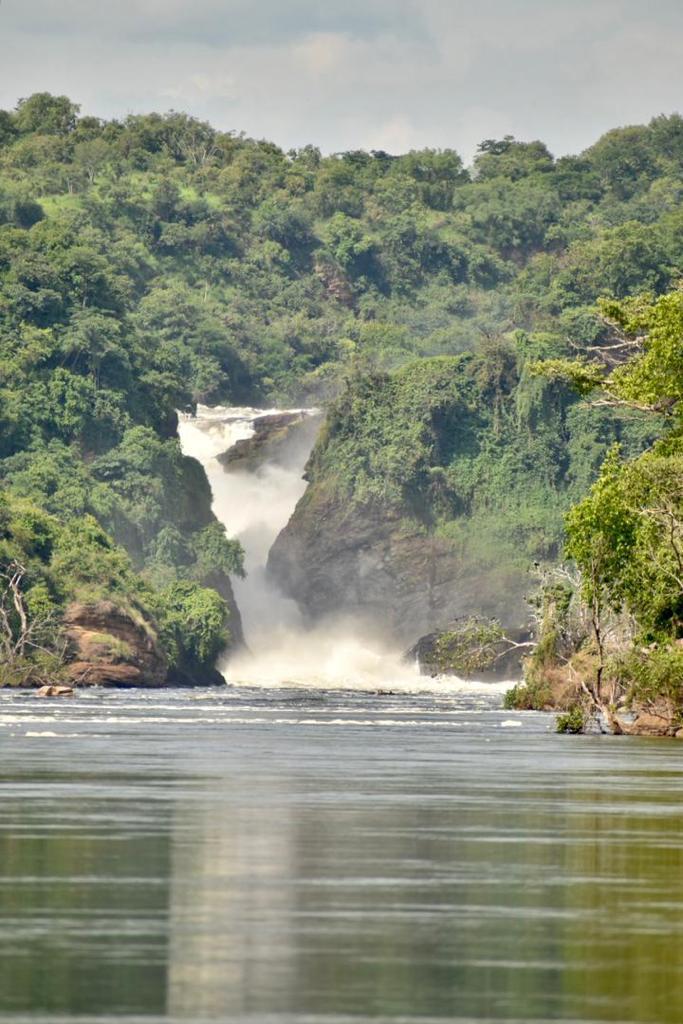 murchison falls