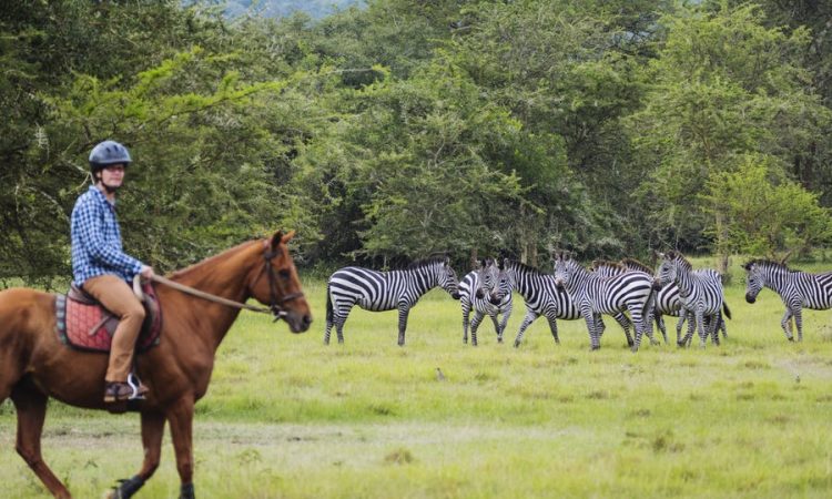 Lake mburo wildlife safari