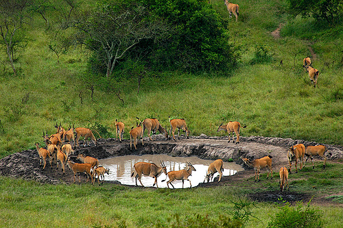 lake mburo adventure safari