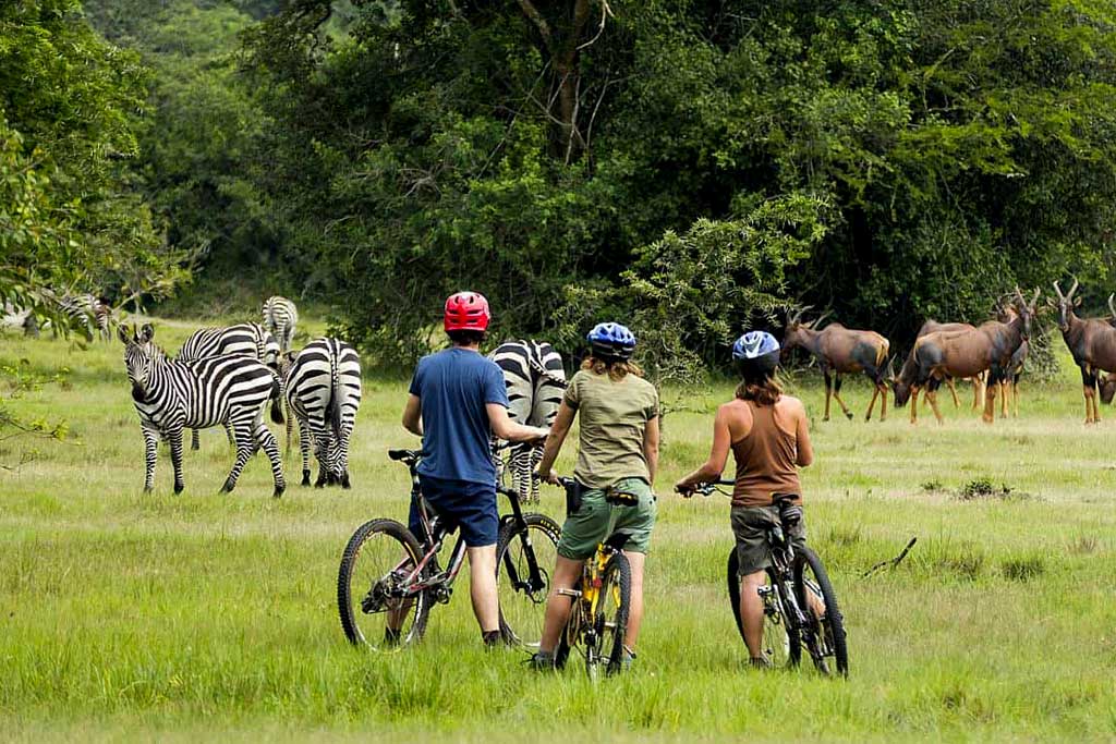 birdlife in lake mburo