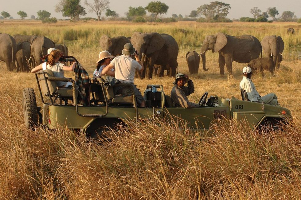 Game-viewing